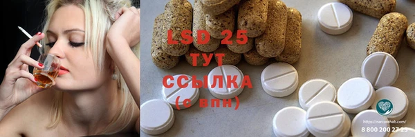спиды Майский