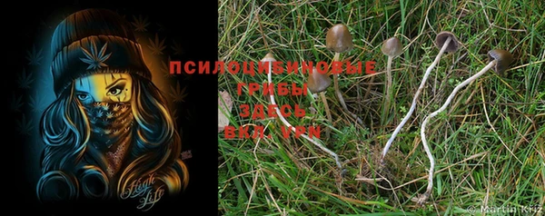 стафф Апатиты