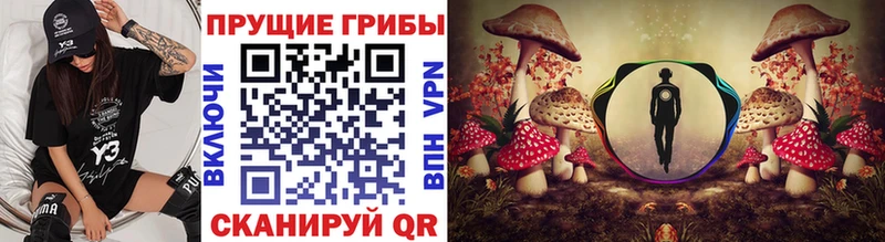 Галлюциногенные грибы ЛСД  Озёры 